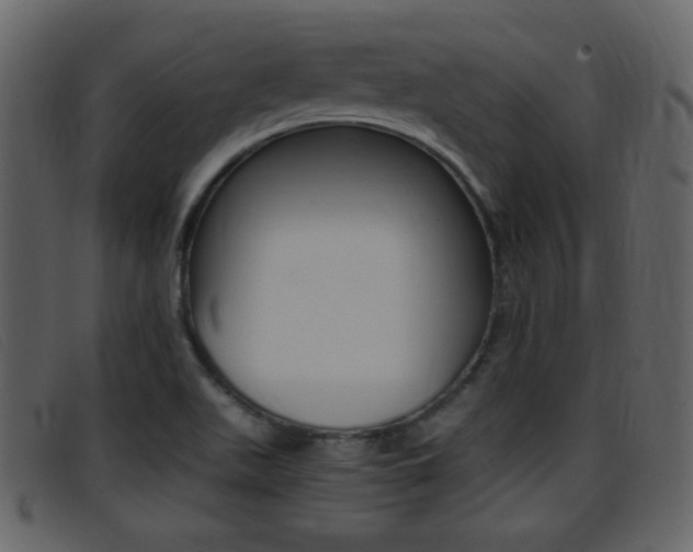 X0000096651511200802050922