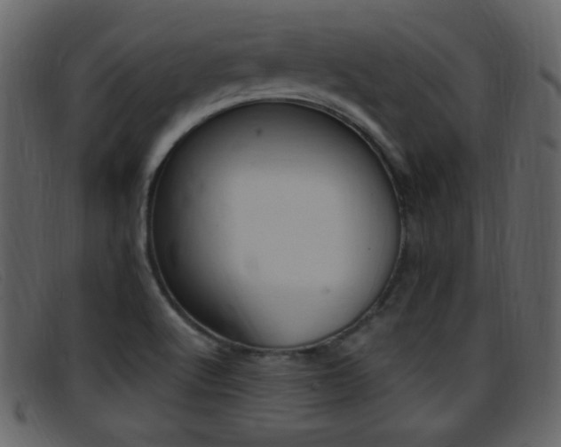 X0000096651512200802050922