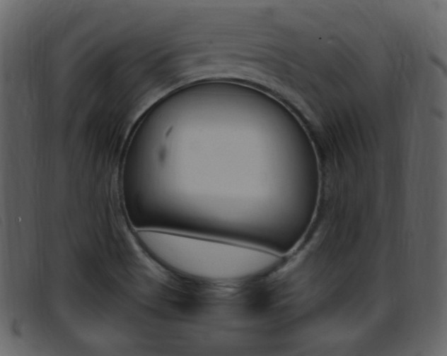 X0000096651513200802050922