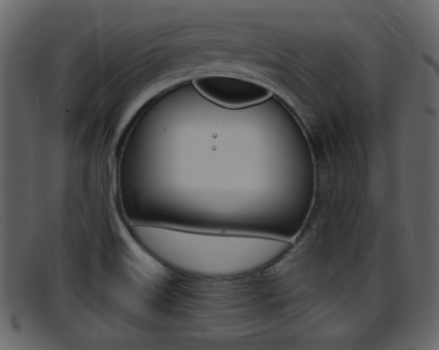 X0000096651515200802050922
