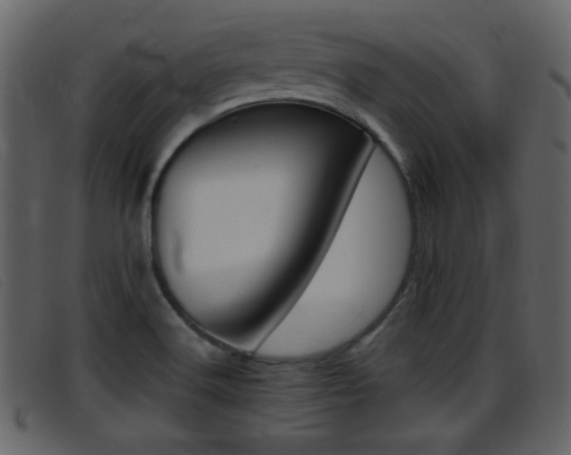 X0000096651516200802050922
