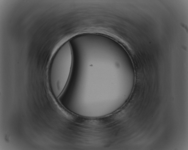 X0000096651517200802050922