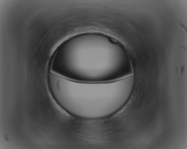 X0000096651518200802050922