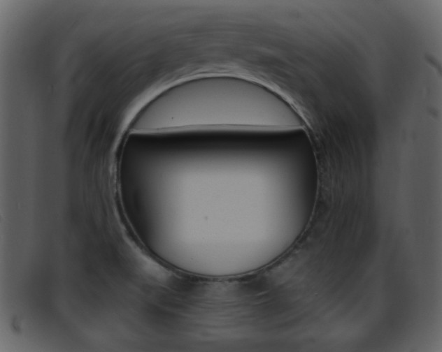 X0000096651519200802050922