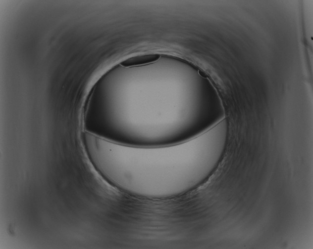 X0000096651520200802050922