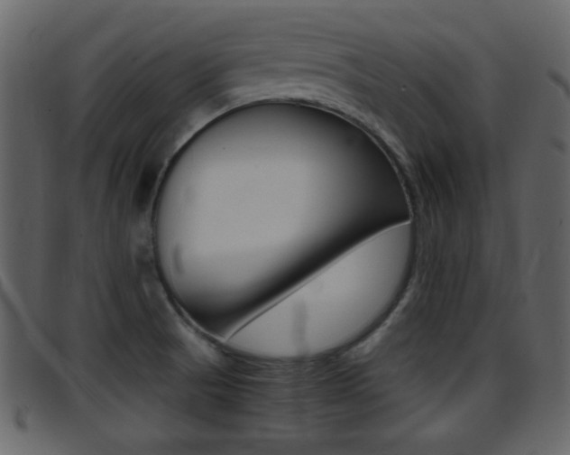 X0000096651521200802050922