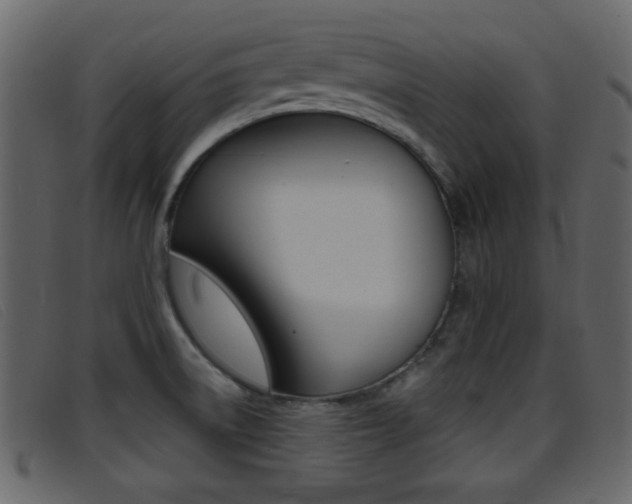 X0000096651522200802050922