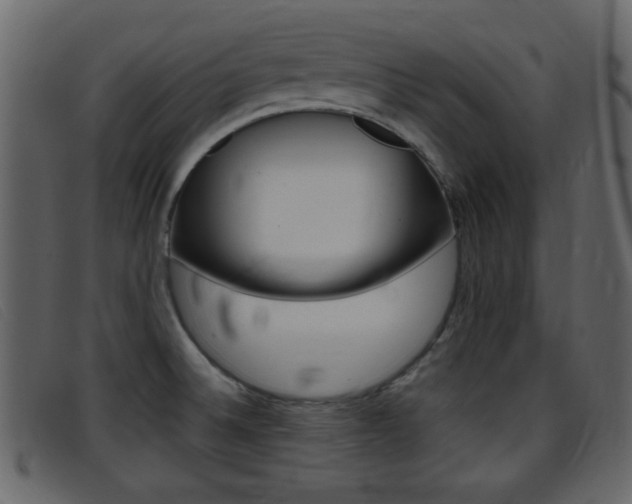 X0000096651524200802050922