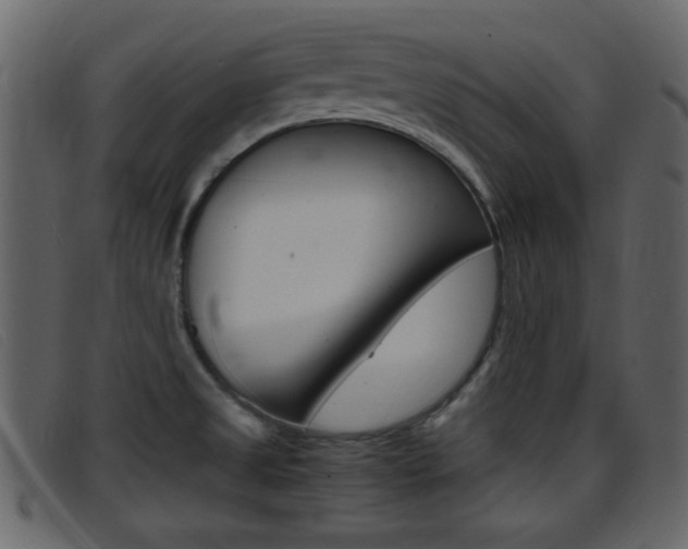X0000096651525200802050922