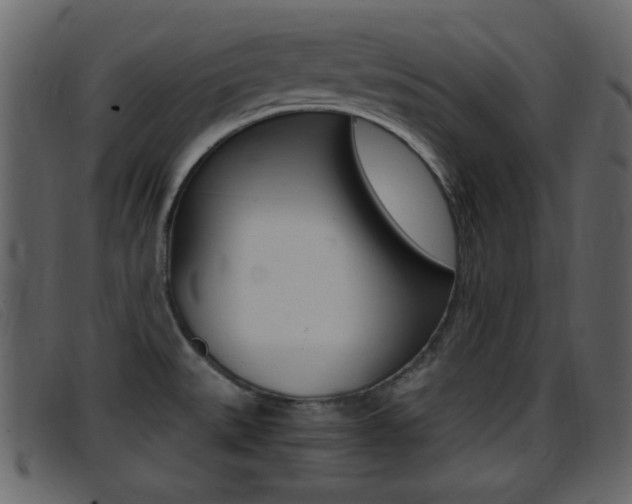 X0000096651527200802050923