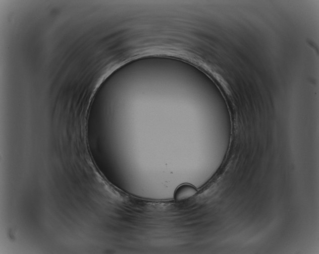 X0000096651529200802050923