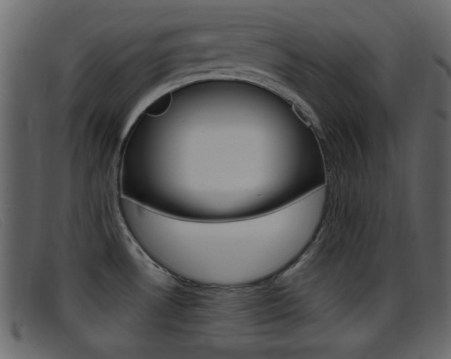 X0000096651530200802050923