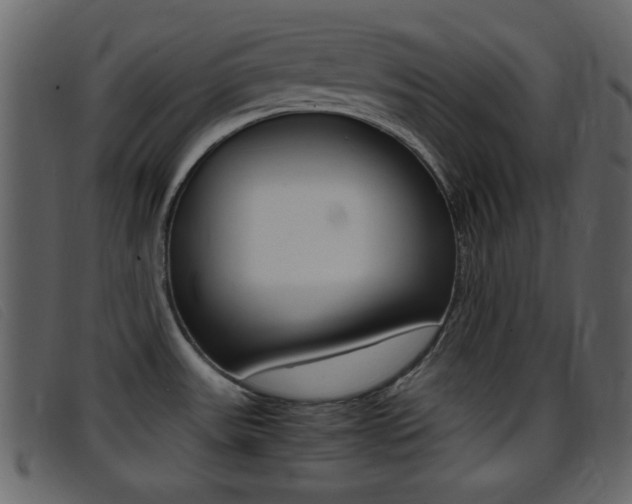 X0000096651531200802050923