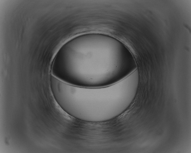 X0000096651532200802050923