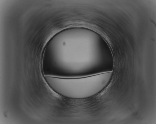 X0000096651533200802050923