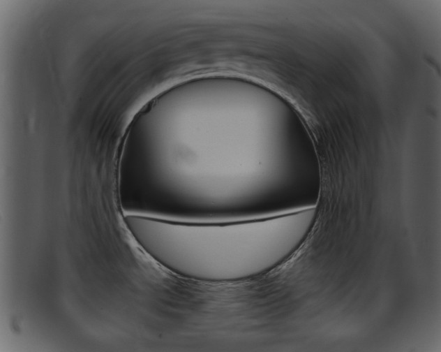 X0000096651534200802050923