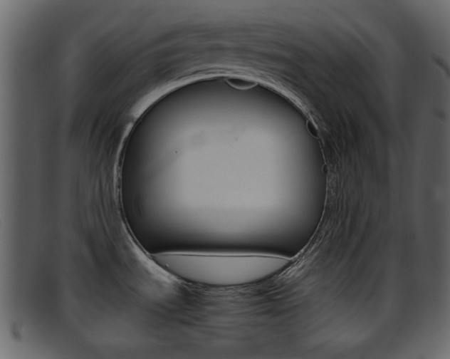 X0000096651535200802050923