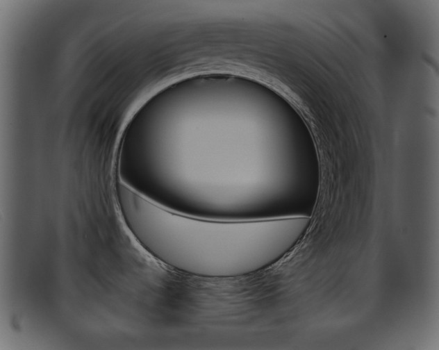 X0000096651536200802050923