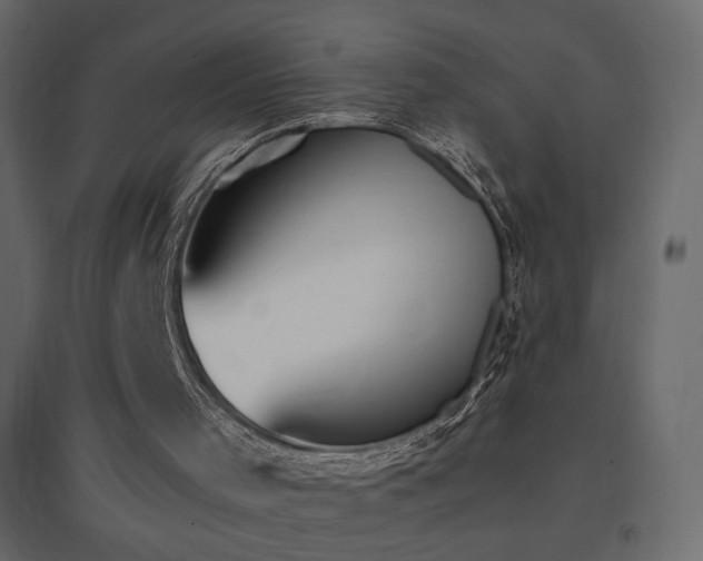 X0000096650001200802051206