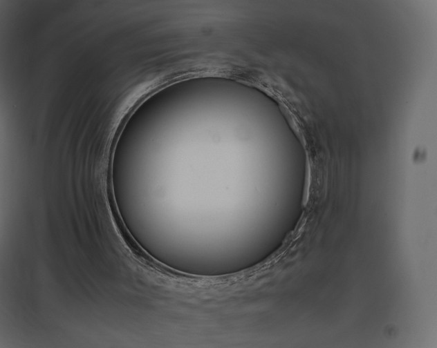 X0000096650003200802051206