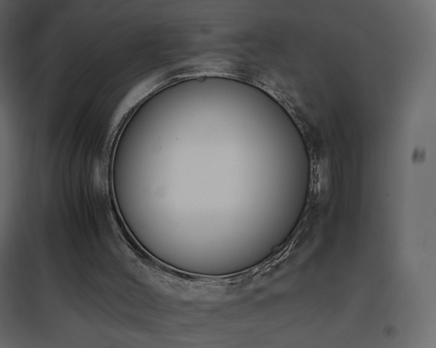 X0000096650004200802051206