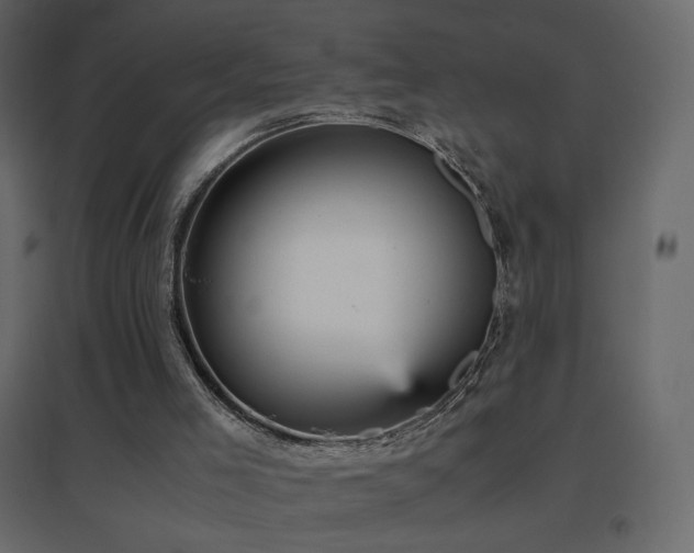 X0000096650005200802051206