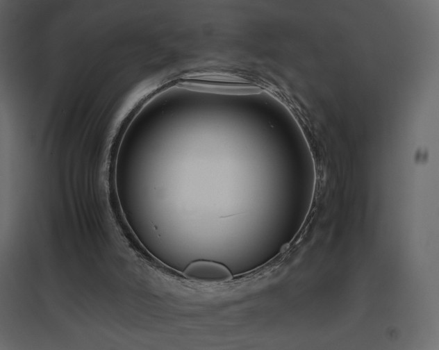 X0000096650006200802051206
