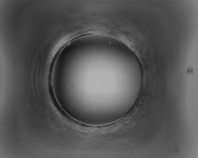 X0000096650007200802051206