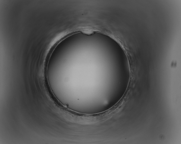X0000096650008200802051206