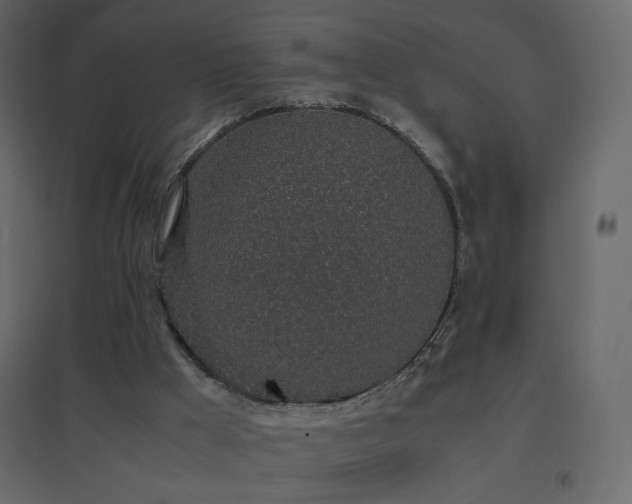 X0000096650009200802051206