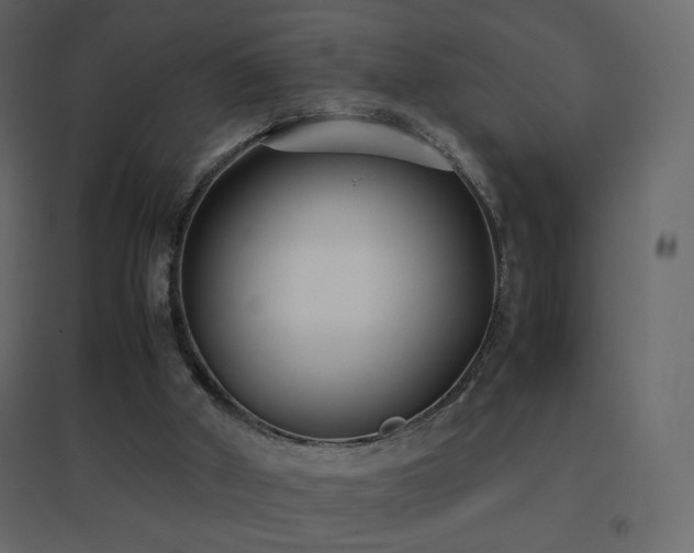 X0000096650010200802051206