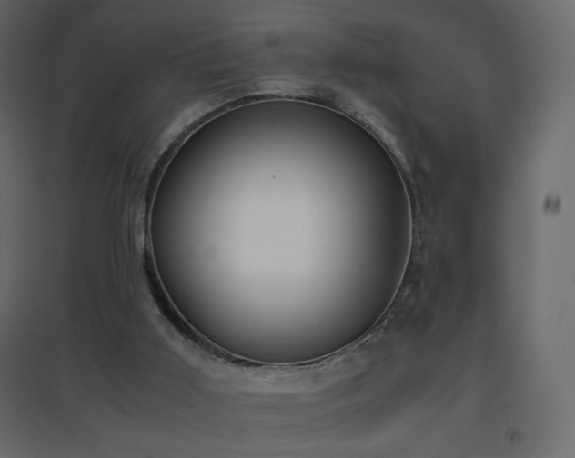 X0000096650011200802051206