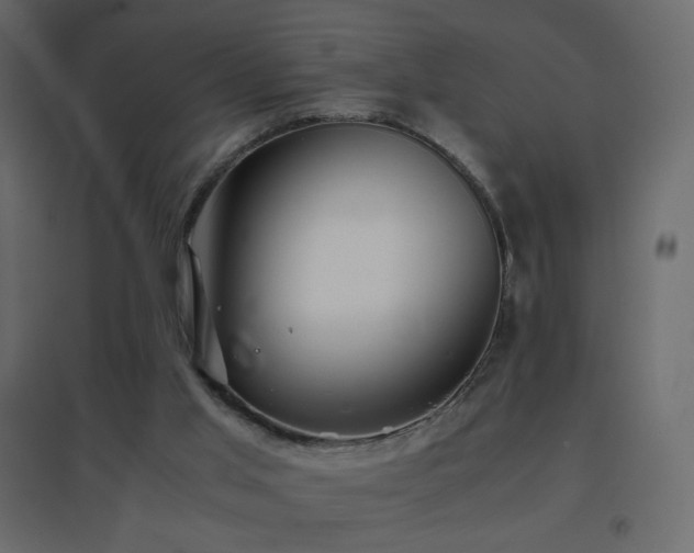X0000096650013200802051206