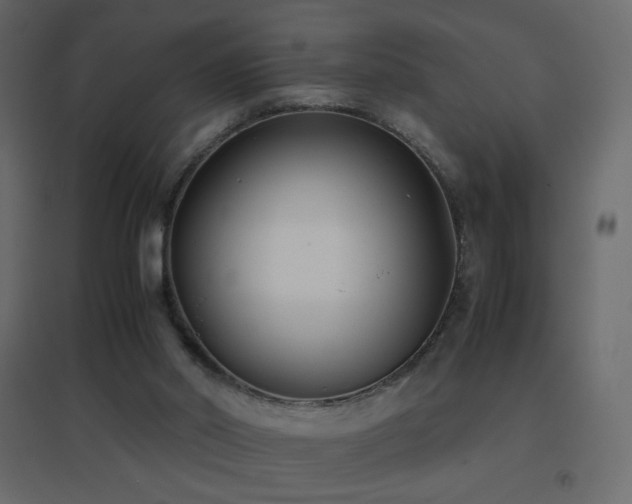 X0000096650014200802051206