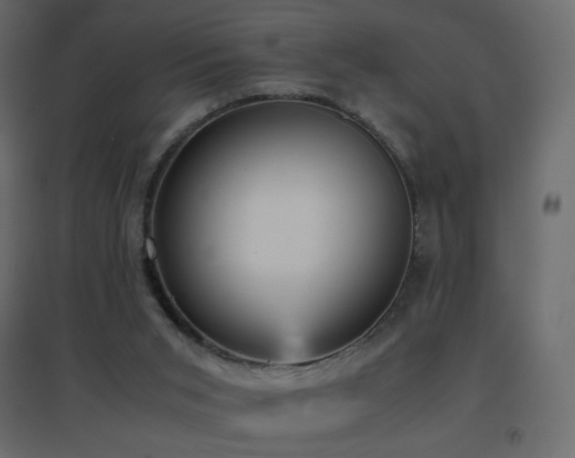 X0000096650015200802051206