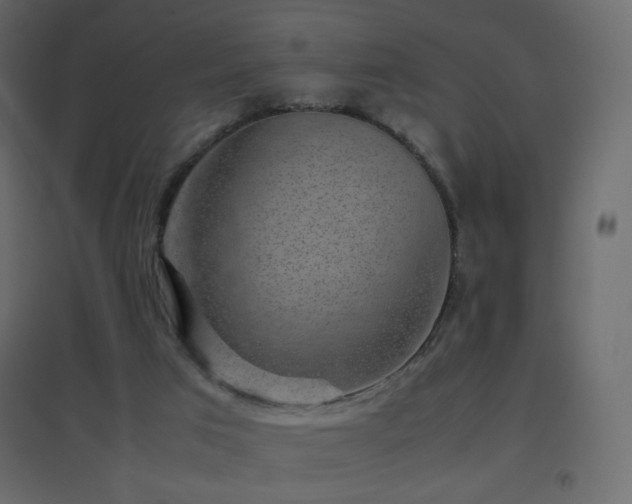 X0000096650017200802051206