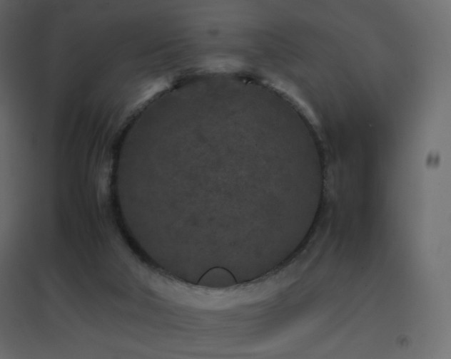 X0000096650018200802051206