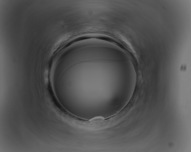 X0000096650019200802051206