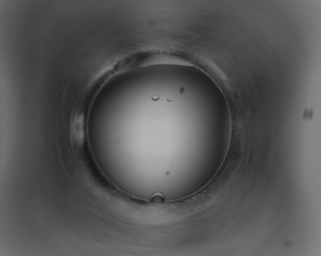 X0000096650020200802051206
