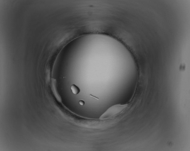 X0000096650021200802051205