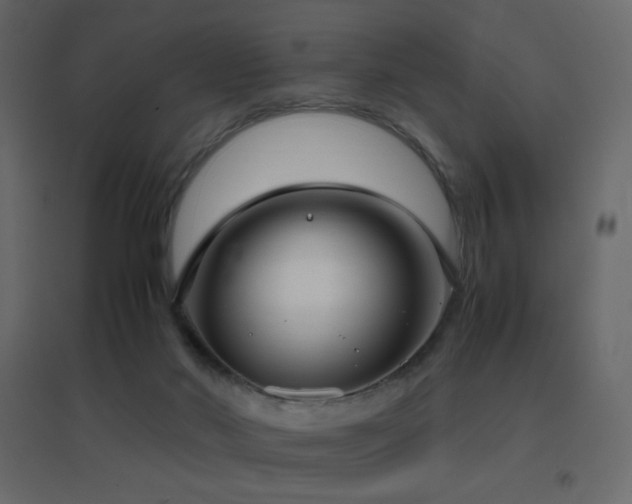 X0000096650022200802051205