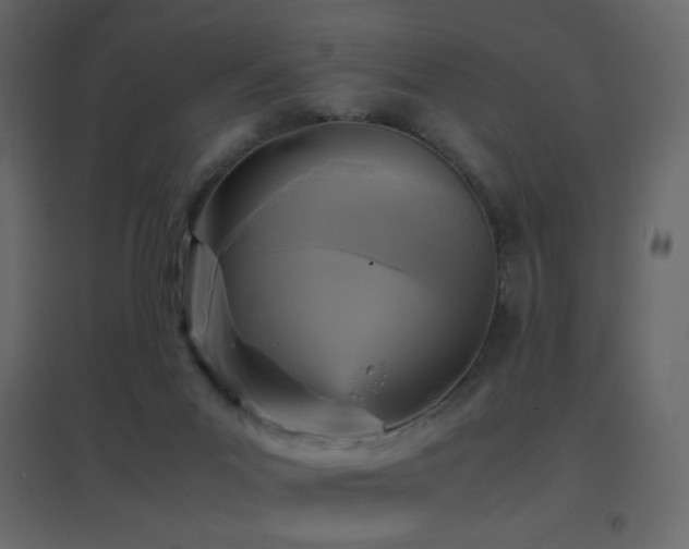 X0000096650023200802051205