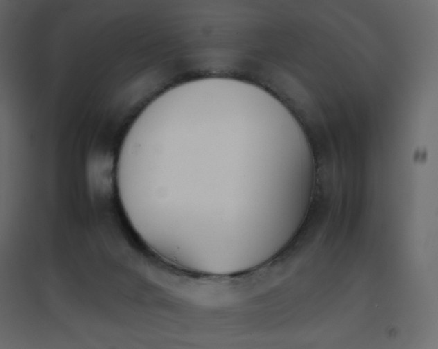 X0000096650024200802051205