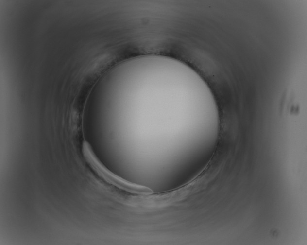 X0000096650025200802051205