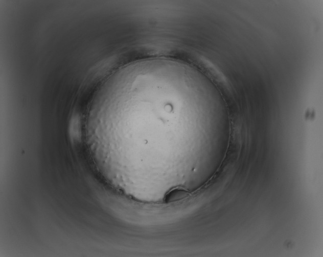 X0000096650026200802051205