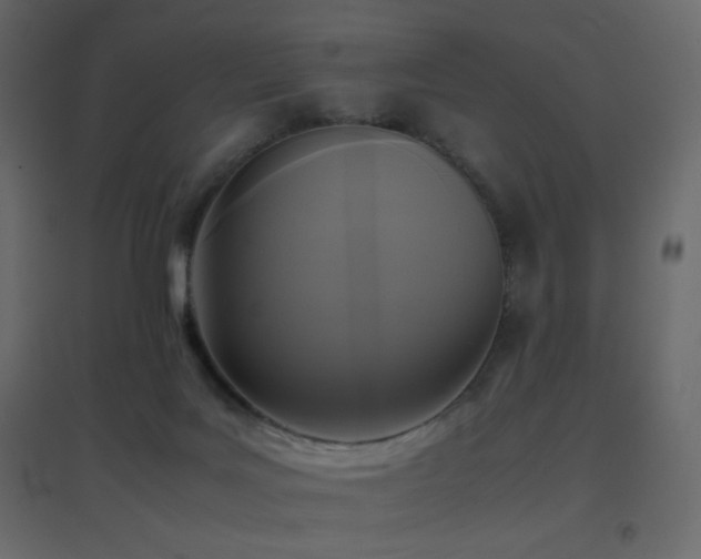 X0000096650027200802051205