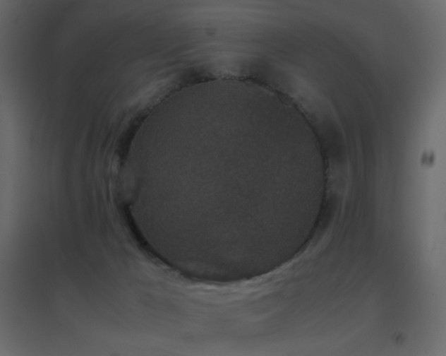 X0000096650029200802051205