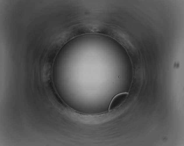 X0000096650030200802051205