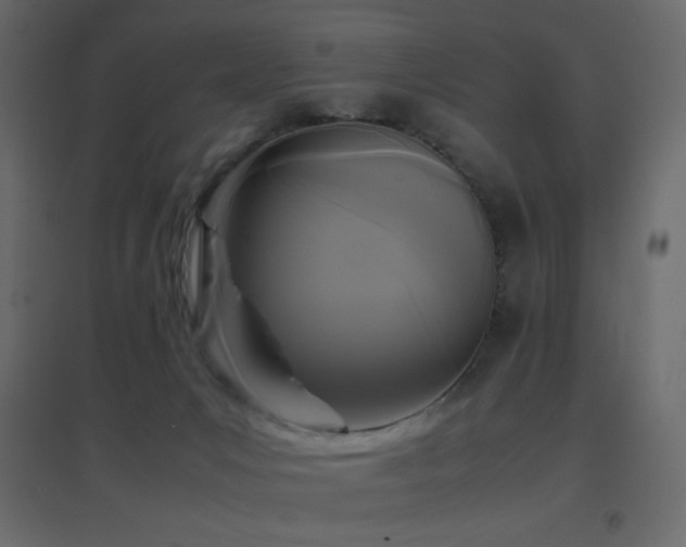 X0000096650031200802051205