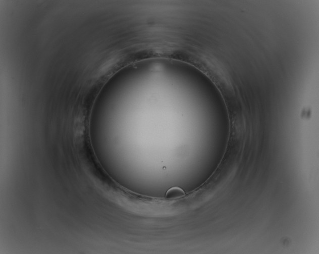 X0000096650032200802051205
